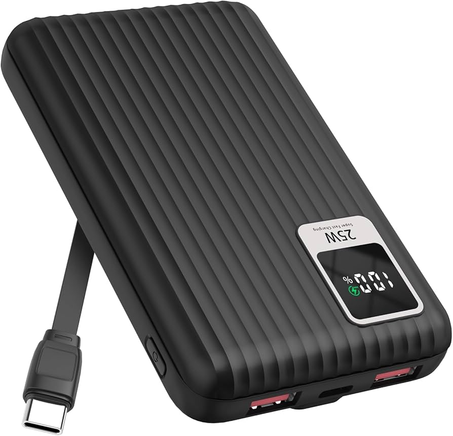 Samsung  Power Bank 2-Port 10000mAh (25 Watts)
