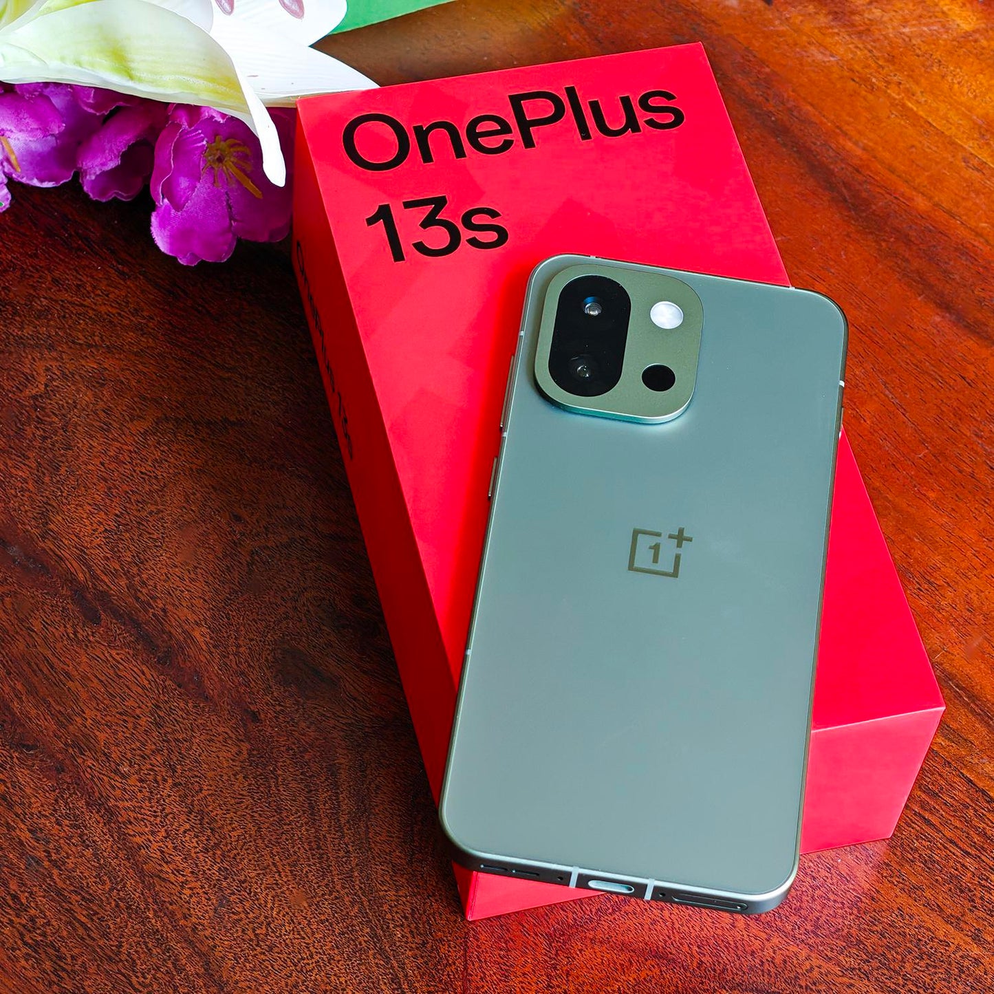 OnePlus 13S AMOLED display gaming performance view