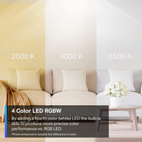 Tapo Smart Wi-Fi Light Bulb L530E 4-Pack packaging and accessories - buy online Kenya