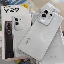 Small photo of a white vivo Y29 back beside a brown Y29 retail box